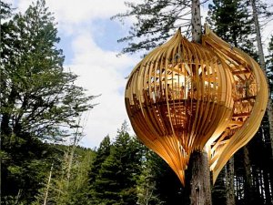 Amazing-tree-house-nature-architecture-design